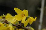 Dcim5875/DSC_2383