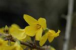 Dcim5875/DSC_2384