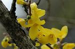 Dcim5875/DSC_2387