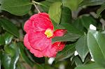 Dcim5875/DSC_2402