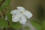 Dcim5875/DSC_2423