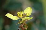 Dcim5875/DSC_2438