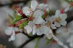 Dcim5875/DSC_2473