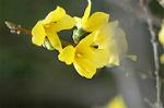 Dcim5875/DSC_2476