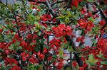 Dcim5876/DSC_7923