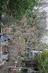 Dcim5876/DSC_7927