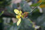 Dcim5876/DSC_7986