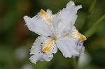 Dcim5877/DSC_2482