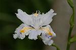 Dcim5877/DSC_2488