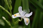 Dcim5877/DSC_2497