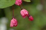 Dcim5877/DSC_2512