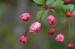 Dcim5877/DSC_2518