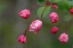 Dcim5877/DSC_2519