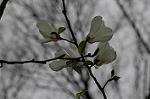 Dcim5877/DSC_2566