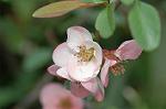 Dcim5877/DSC_2568