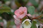 Dcim5877/DSC_2570