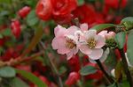 Dcim5877/DSC_2571