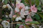 Dcim5878/DSC_2574