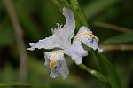 Dcim5878/DSC_2582