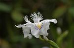 Dcim5878/DSC_2583