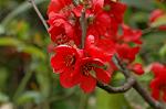 Dcim5878/DSC_2591