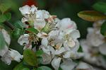 Dcim5878/DSC_2604
