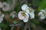 Dcim5878/DSC_2616