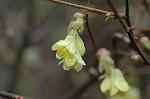 Dcim5878/DSC_2655