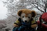 Dcim5879/DSC_8000