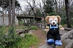 Dcim5879/DSC_8020