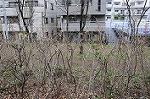 Dcim5879/DSC_8038