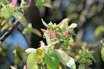 Dcim5880/DSC_2669