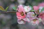 Dcim5880/DSC_2701