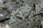 Dcim5881/DSC_2830