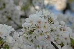 Dcim5881/DSC_2835