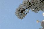 Dcim5881/DSC_2839