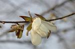 Dcim5882/DSC_2929