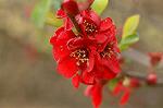 Dcim5882/DSC_2966