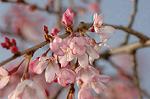 Dcim5882/DSC_2977