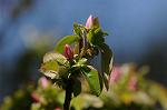Dcim5883/DSC_8057