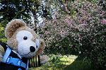 Dcim5883/DSC_8081