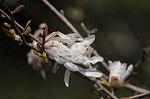 Dcim5883/DSC_8141