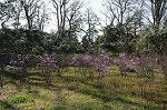 Dcim5884/DSC_8257