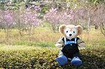 Dcim5884/DSC_8262