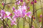 Dcim5884/DSC_8274