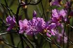 Dcim5884/DSC_8275