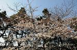 Dcim5884/DSC_8304