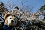 Dcim5884/DSC_8305