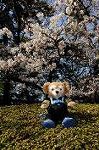 Dcim5884/DSC_8312