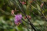 Dcim5885/DSC_8354